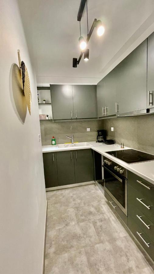 Gorgeous Renovated Apt. Close To Metro And Cultural Sites! Athens Exterior photo