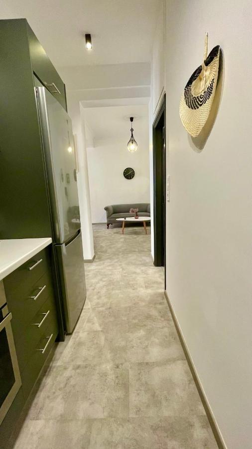 Gorgeous Renovated Apt. Close To Metro And Cultural Sites! Athens Exterior photo